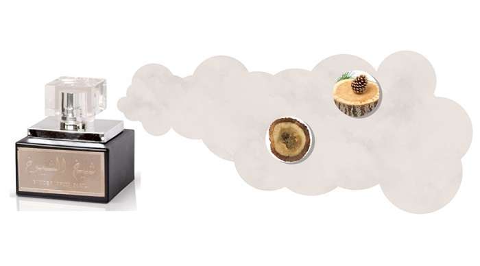 Sheikh Al Shuyukh Oud Perfume 30ml In AjmanShop 