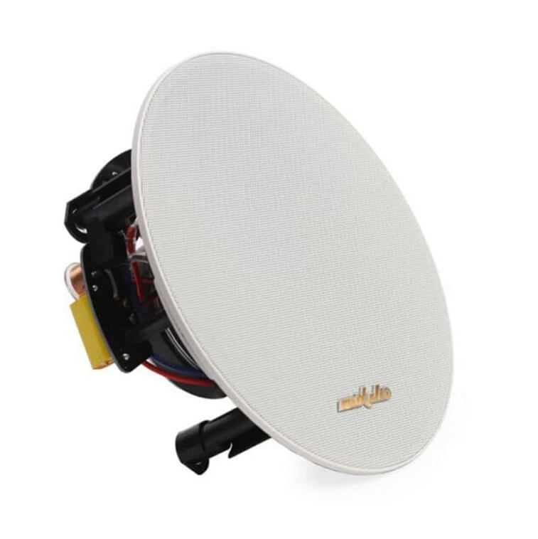 AUX168II Coaxial Ceiling Speaker DSPPA Ajman 1