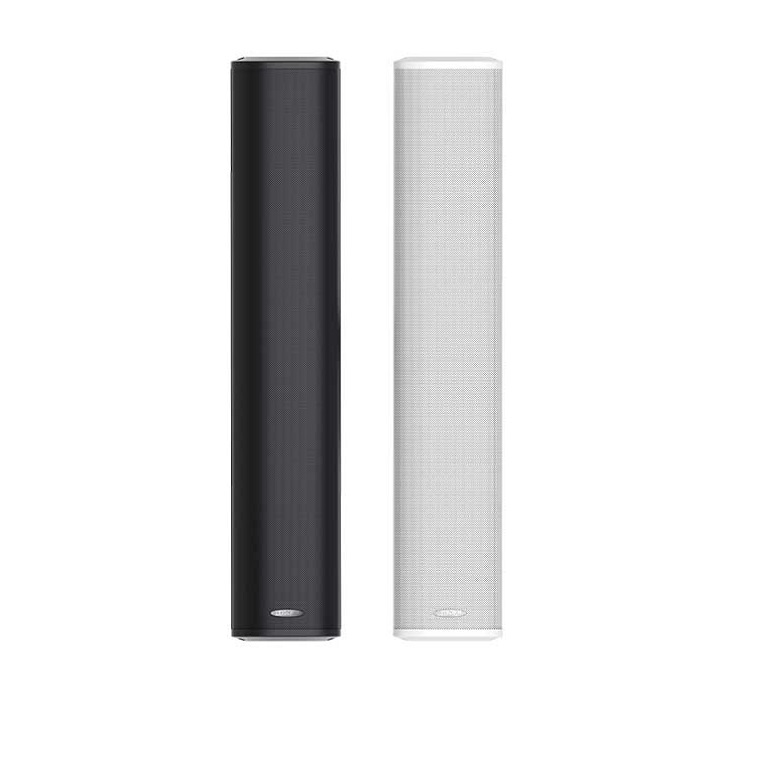 DSP455II Outdoor Waterproof Column Speaker Ajman