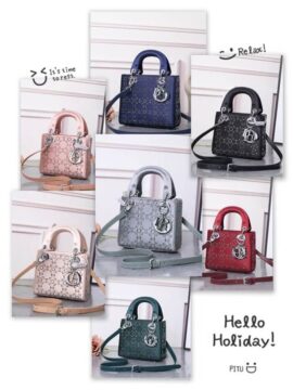 Dior Frame Red Bag Mini Decorated with Strass in Ajman Shop 1