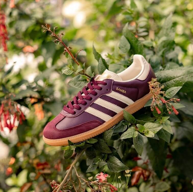 Adidas Samba OG Maroon Shoes - AjmanShop