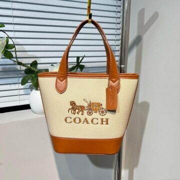 Coach Bucket Handbag Beige Color- AjmanShop
