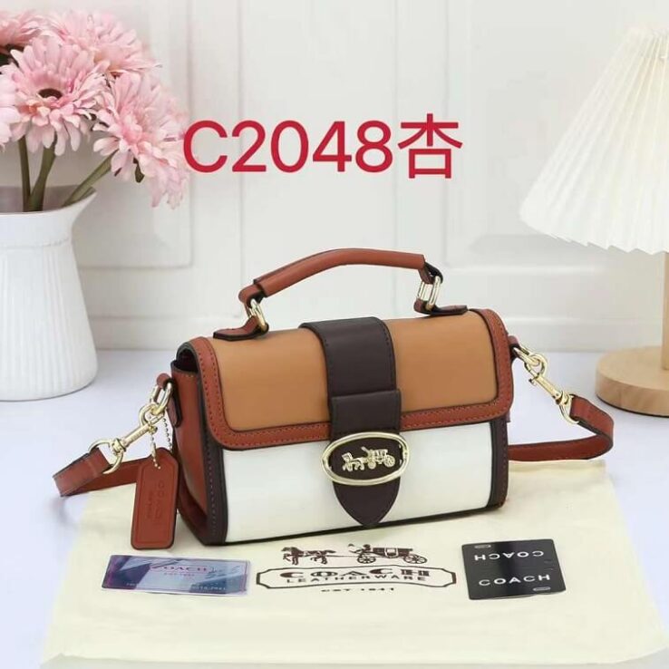 Coach Canvas Handbag - AjmanShop