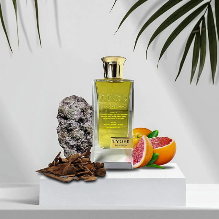 TYGER Perfume - AjmanShop